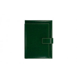 NOVASKIN Agenda B5 EXCLUSIVE Kelly green