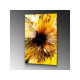 WALLXPERT Dekorativna slika od kaljenog stakla YEL 1 (UV 134) 70 x 100 cm